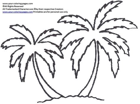 Simple Palm Tree Drawing At Getdrawings Free Download