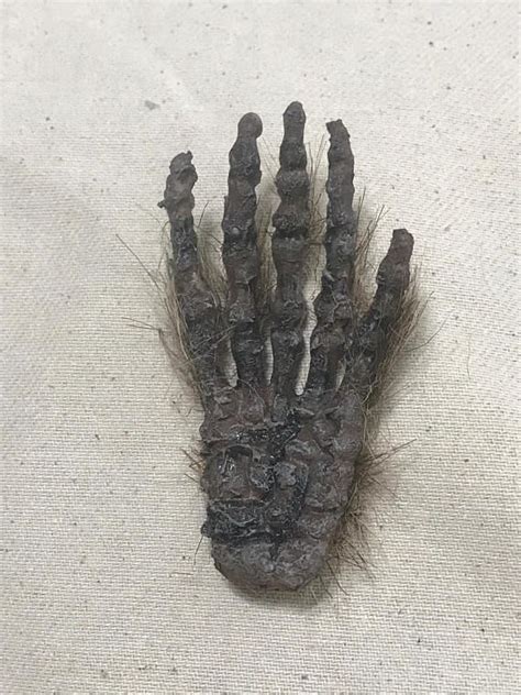 Jake is given a mystical monkey's paw that grants three wishes, but things go terribly wrong when he brings his friend back from the dead. Faux realistic mummified Monkey paw talisman sideshow gaff ...