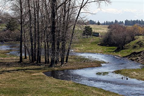 Flathead River ‘almost Certain To Exceed Flood Stage In May Or June
