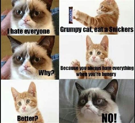 This Is Just So Funny To Me Funny Grumpy Cat Memes Grumpy Cat