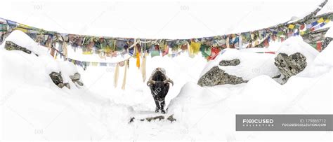 Nepal Himalaya Solo Khumbu Ama Dablam Yak On Trail In Snow