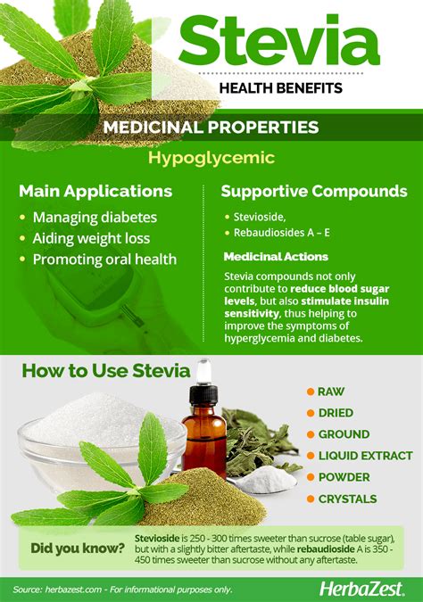 The Benefits Of Stevia A Guide To The Use And Benefits To Stevia