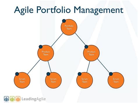 Agile Program And Portfolio Management