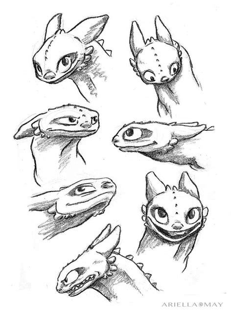 Toothless Sketches 2 By Ariellamay On Deviantart
