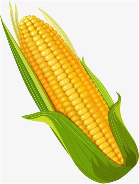 Clipart Of Corn 10 Free Cliparts Download Images On Clipground 2021