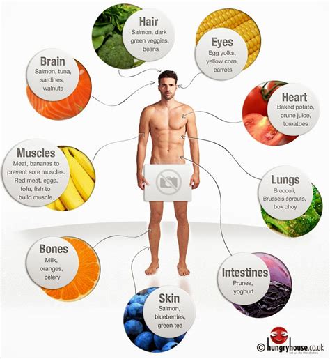 Human Healthy Foods How To Lead A Healthy Life