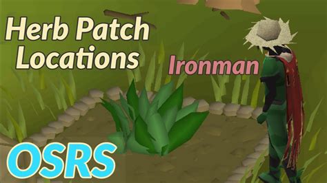Osrs Herb Run Patch Location Farming Guide Updated Youtube