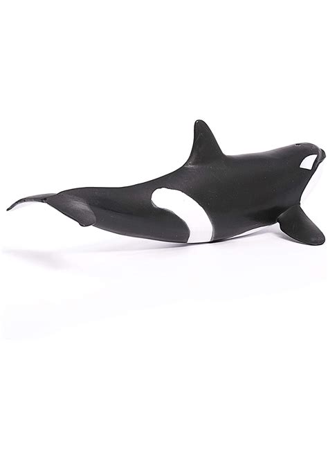14807 Killer Whale Hub Hobby
