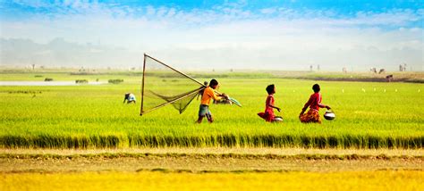 Natural Beauty Of Bangladesh Authentic Experience
