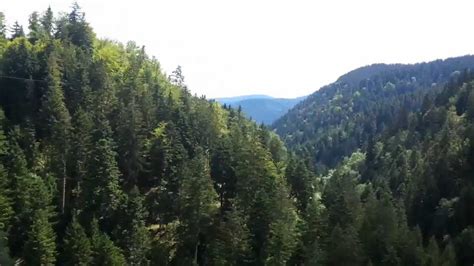 Die coolste freizeitanlage im schwarzwald. Hirschgrund Zipline 570m - YouTube