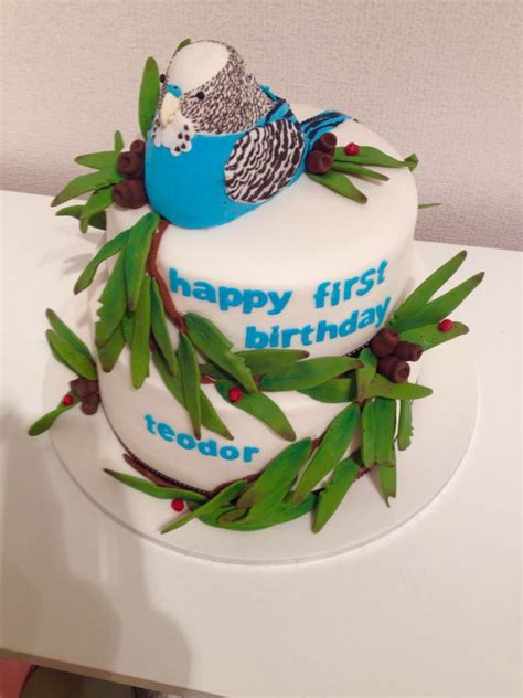 Budgie Birthday Cake Bird Birthday Birthday Games 11th Birthday Bday