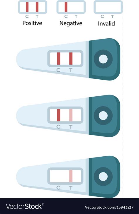 Positive And Negative Pregnancy Tests Royalty Free Vector