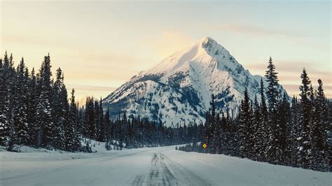 Download Wallpaper 1920x1080 Mountain Road Snow Winter Trees
