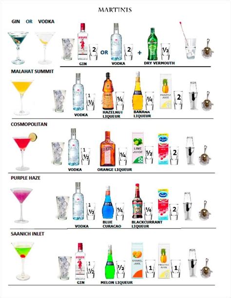 Martini Recipes Cheat Sheet In 2023 Alcohol Drink Recipes Bartender