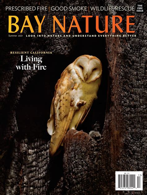 Bay Nature Magazine Summer 2021 Issue