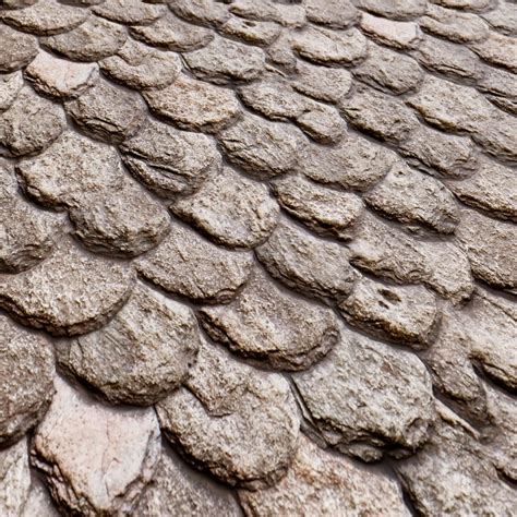Free Dirty Roof Texture 554 Lotpixel
