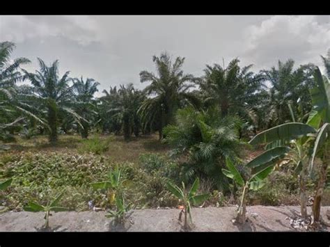 For sale 10 acre agricultural land malindi very ideal for agriculture,plots subdivision,development of enter your email address to receive alerts when we have new listings available for agricultural land for sale in kenya. Agriculture Land For Sale In Malaysia - YouTube