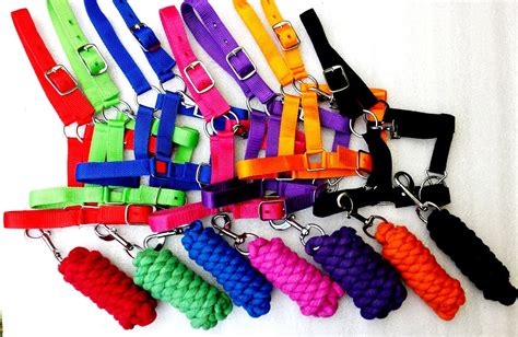 Halters And Lead Sets Mini To Full Size In All Colors Rainbow Saddles