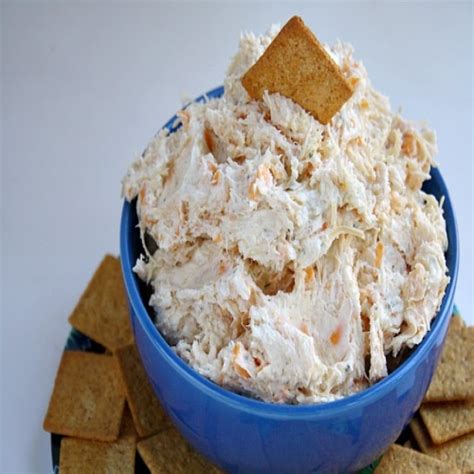 Including bacon, ranch, chicken, and our favorite: Blocks Cream Cheese Ranch Chicken Cheese Dip