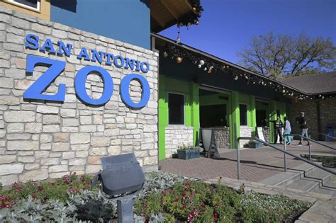 The San Antonio Zoo Is One Of The Best In The Us Report Says
