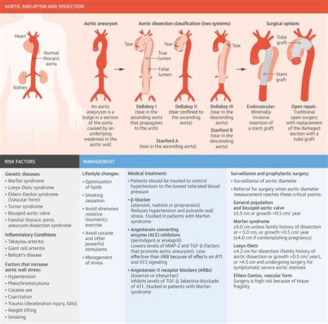 Pin By Melissa Blaker On Cardiac Surgery Aortic Aneurysm Aortic