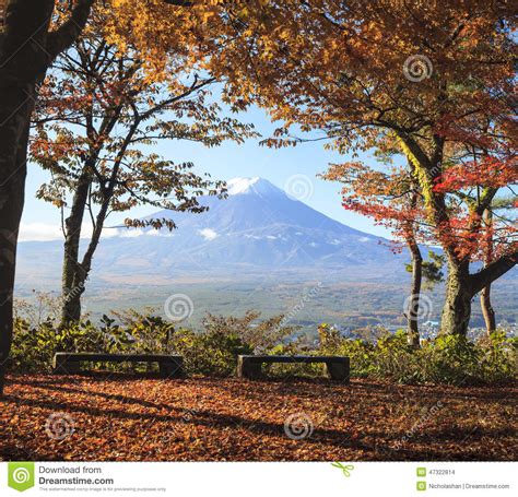 Mt Fuji With Fall Colors In Japan Stock Photo Image