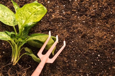 Premium Photo Soil Texture Background For Gardening Concept