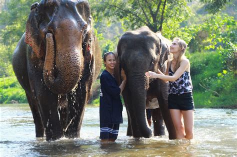 Elephant Sanctuary Tours Chiang Mai