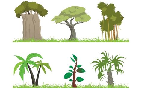 Jungle Trees Cartoon Clipart Best