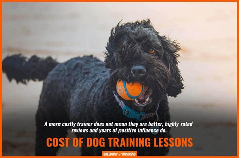 How Much Do Dog Training Lessons Cost Price Factors Types And Faqs