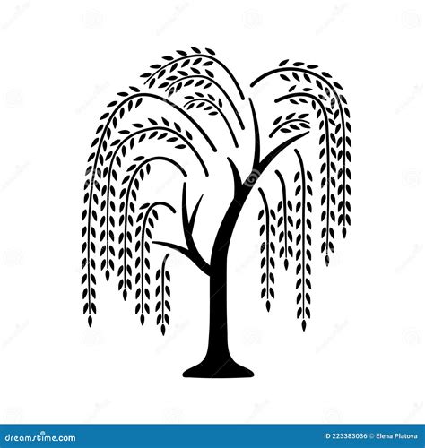 Willow Tree Black Icon With Tree Vector Illustration Isolated On