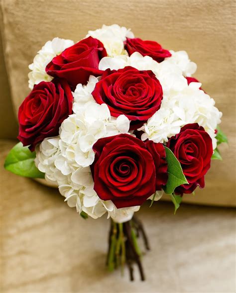 Red Roses And White Hydrangeas Classic Bouquet For A Fall Wedding