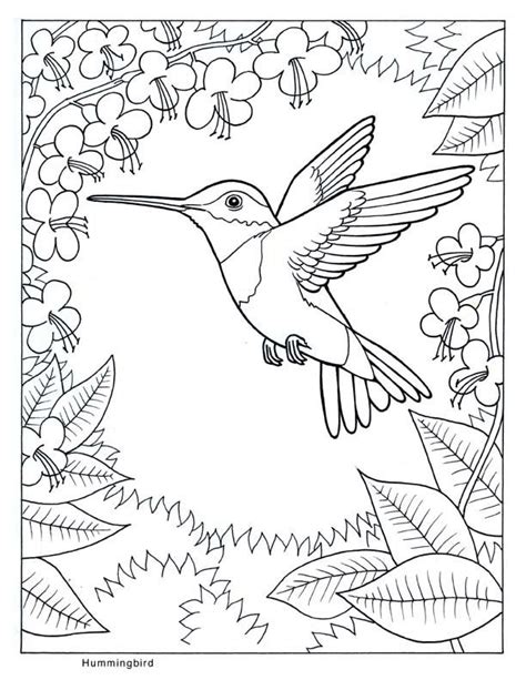 Hummingbird Pictures To Print Coloring Home