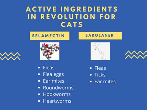 My vet responded promptly to allivet, and the order was processed promptly. Revolution for Cats Coupon (2020) Revolution for Cats ...