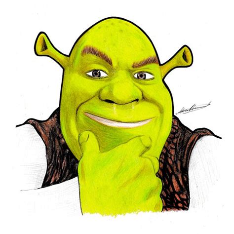 Shrek Portrait Drawing Freehand By Musa Drammeh Via Behance Shrek Is