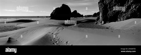 Rock Formations On Beach In Grayscale Pacific Ocean Oregon Usa Stock