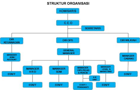 Struktur Organisasi Perusahaan Homecare