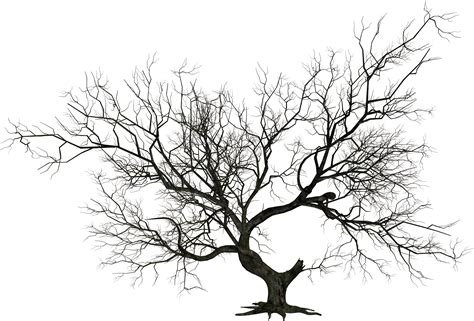 Spooky Tree Png Free Logo Image