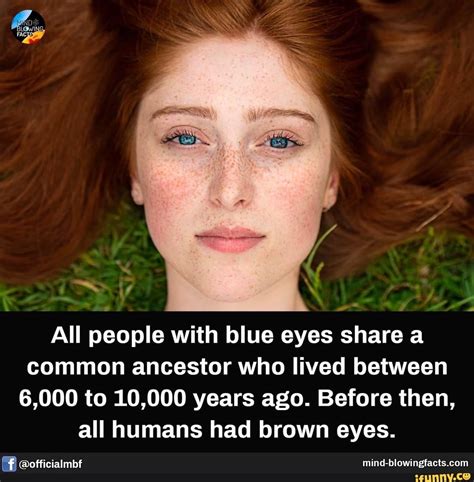 All People With Blue Eyes Share A Common Ancestor Who Lived Between 6000 To 10000 Years Ago