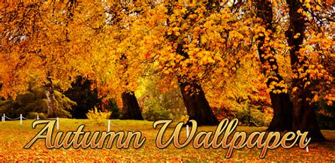 Download Beautiful Fall Scenery Wallpapers For Android