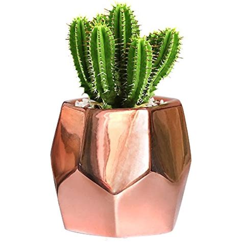 Hexagon Rose Gold Succulent Planter Ceramic Geometric Cactus Pot
