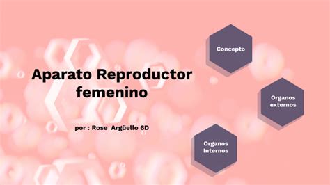 Infografia Y Padlet 11 Aparato Reproductor Masculino Jennifer Tirado 3