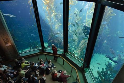 The Best Aquariums In California