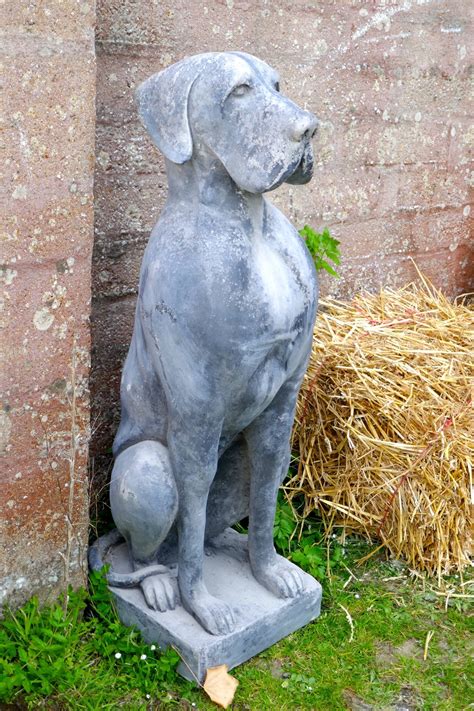 Antiques Atlas Pair Of Large Old Weathered Great Dane Statues 4ft