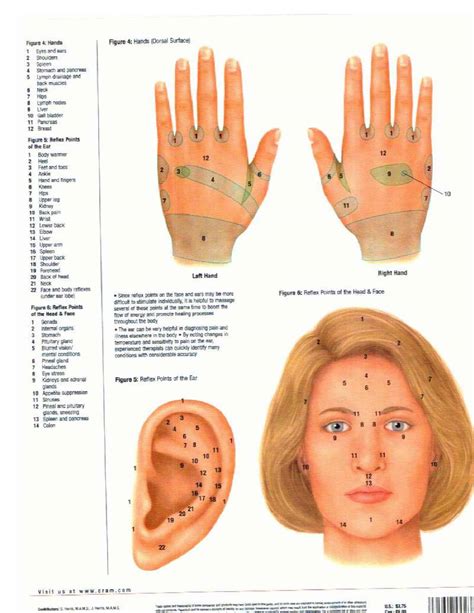 Free Printable Hand Reflexology Templates Charts Maps Pdf