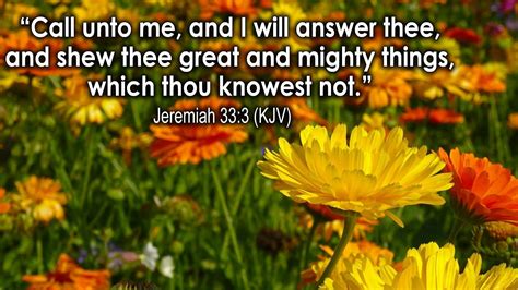 Jeremiah 333 Kjv Call Unto Me And I Will Answer Thee And Shew