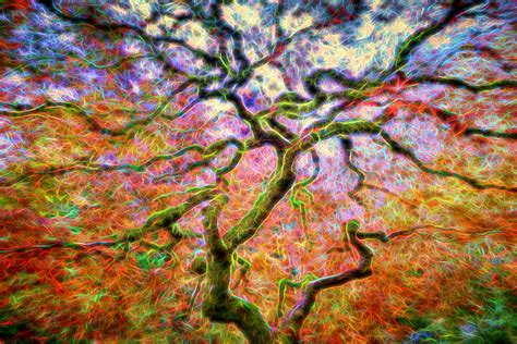 Branching Out In Autumn Neon Photograph By David Gn Fine Art America