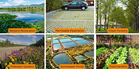 Implementation Of Nature Based Solutions By Municipalities To Advance