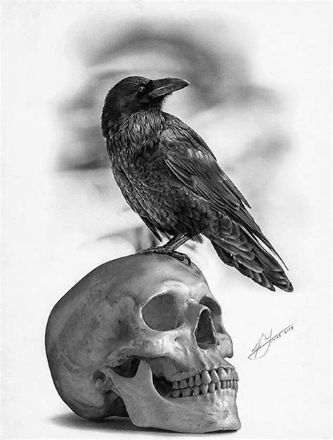 Raven Tattoo Realistic Drawings Crows Drawing Skull Art