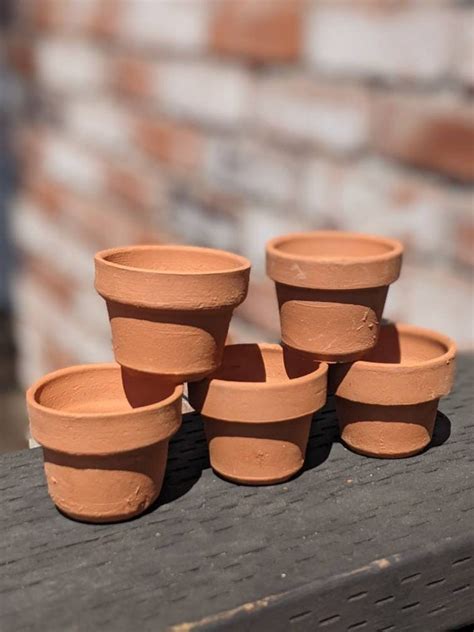 Clay Pots Mini 25 Diameter Set Of 5 Etsy
